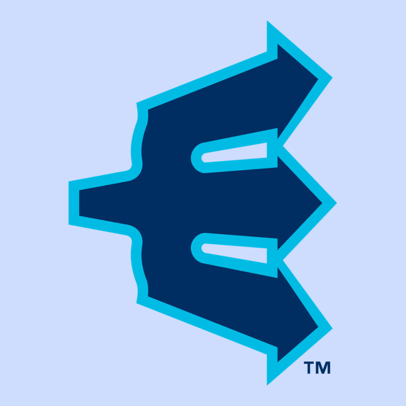 Everett Aquasox Urban Heavy Tee by linhVisuals | Teevron