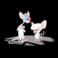 Newanimaniacs Pinky And The Brain Urban Heavy Tee | Teevron