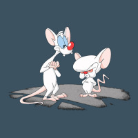 Newanimaniacs Pinky And The Brain Urban Heavy Tee | Teevron