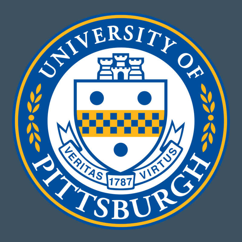 University Of Pittsburgh Urban Heavy Tee by linhVisuals | Teevron