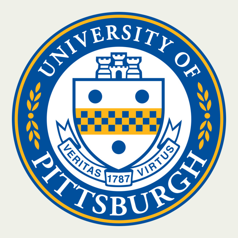 University Of Pittsburgh Urban Heavy Tee by linhVisuals | Teevron