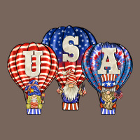 Usa Air Balloon Gnomies Premium Hoodie | Teevron