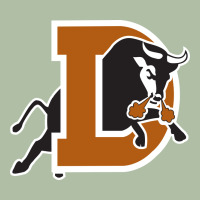 Durham-bulls Urban Heavy Tee | Teevron