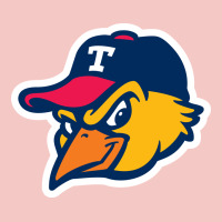 Toledo-mud-hens Urban Heavy Tee | Teevron