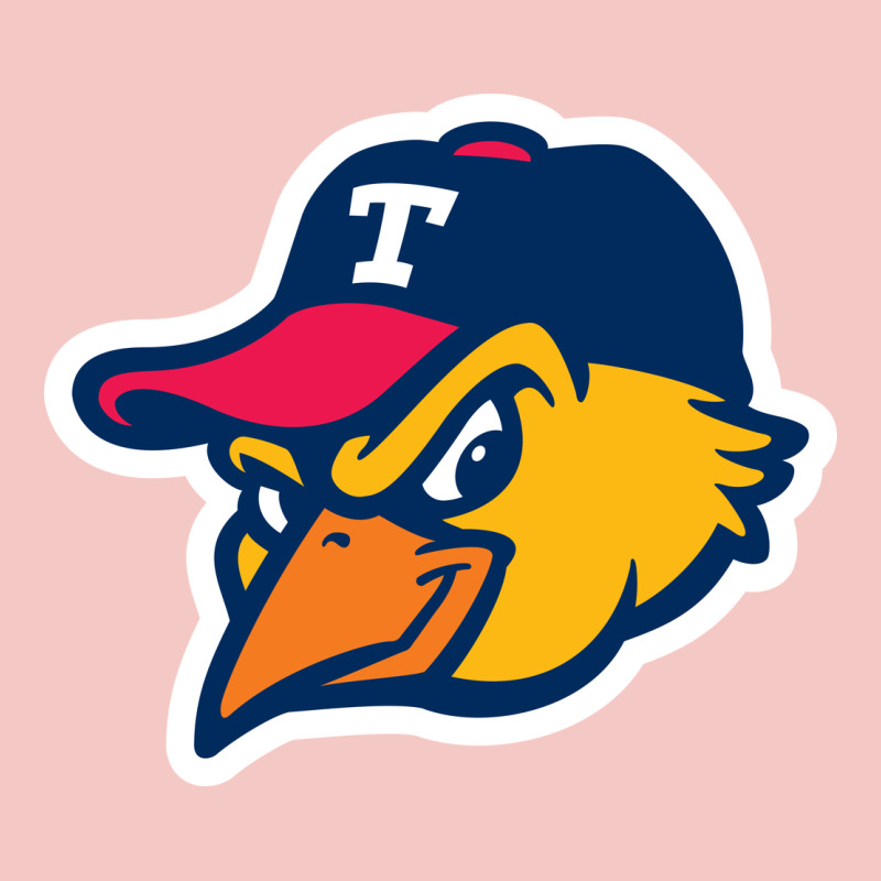 Toledo-mud-hens Urban Heavy Tee by linhVisuals | Teevron