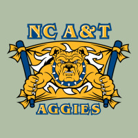 North Carolina A&t Aggies Urban Heavy Tee | Teevron