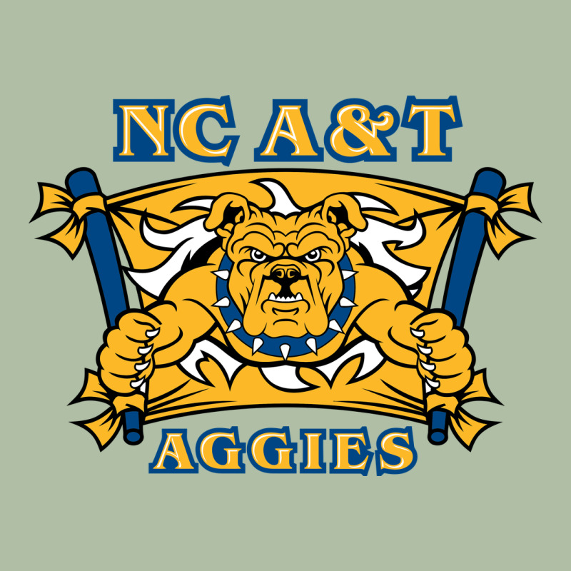 North Carolina A&t Aggies Urban Heavy Tee by linhVisuals | Teevron