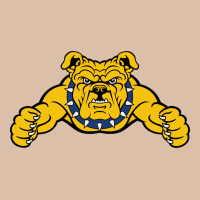 North Carolina A&t Aggies Urban Heavy Tee | Teevron