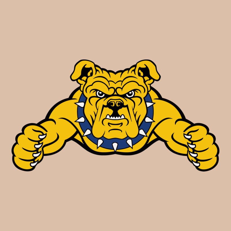 North Carolina A&t Aggies Urban Heavy Tee by linhVisuals | Teevron
