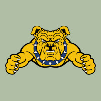 North Carolina A&t Aggies Urban Heavy Tee | Teevron