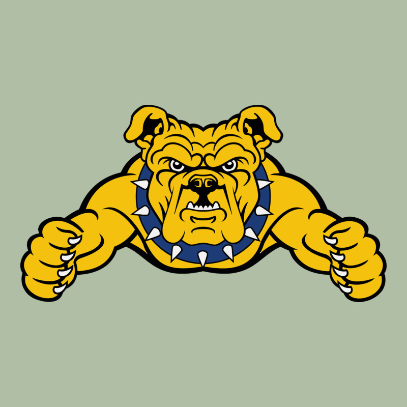 North Carolina A&t Aggies Urban Heavy Tee by linhVisuals | Teevron