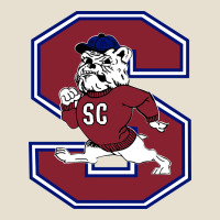 South Carolina State Bulldogs Urban Heavy Tee | Teevron