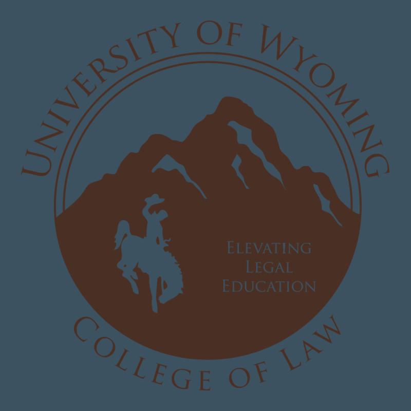 University Of Wyoming Cowboys Urban Heavy Tee by linhVisuals | Teevron