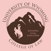 University Of Wyoming Cowboys Urban Heavy Tee | Teevron