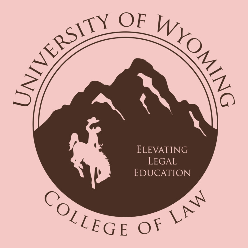 University Of Wyoming Cowboys Urban Heavy Tee by linhVisuals | Teevron
