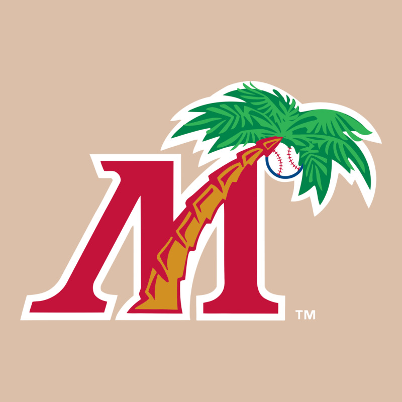 Fort Myers Miracle Urban Heavy Tee by linhVisuals | Teevron