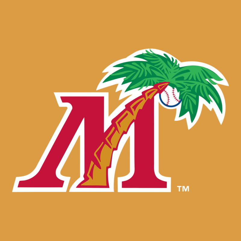 Fort Myers Miracle Urban Heavy Tee by linhVisuals | Teevron