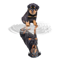 Rottweiler Reflection T Shirt Funny Father's Day Dog Gifts Urban Heavy Tee | Teevron