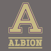 Albion College Athleticpurple Urban Heavy Tee | Teevron