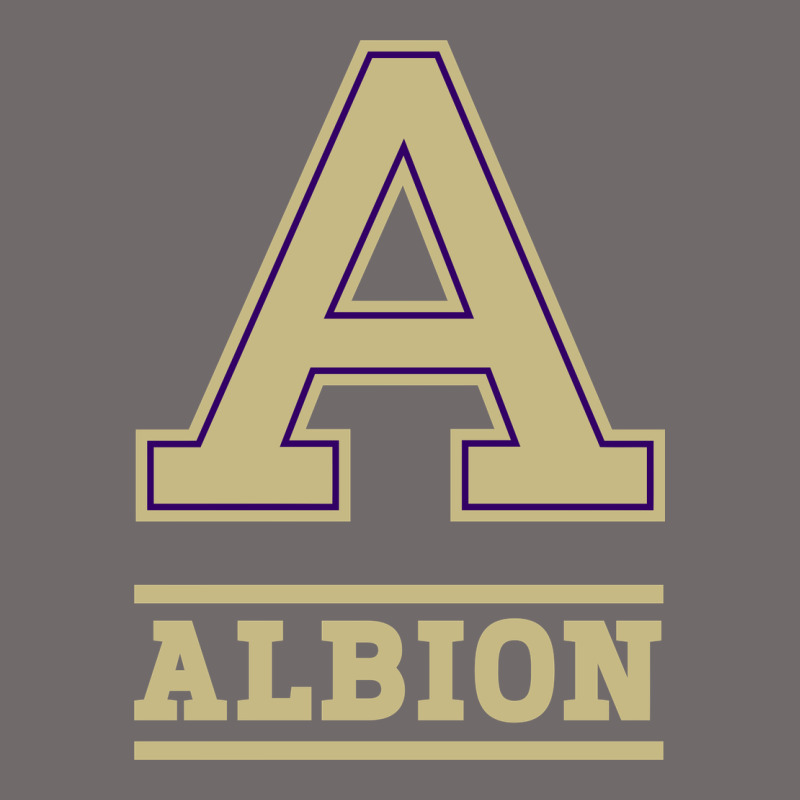 Albion College Athleticpurple Urban Heavy Tee by linhVisuals | Teevron