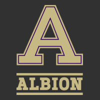 Albion College Athleticpurple Urban Heavy Tee | Teevron