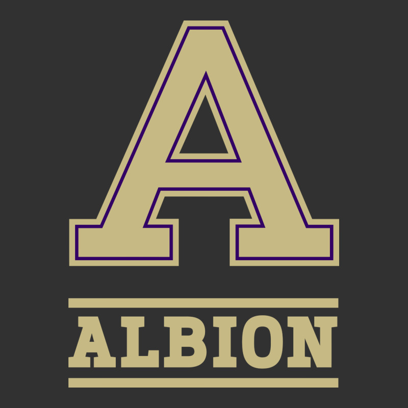 Albion College Athleticpurple Urban Heavy Tee by linhVisuals | Teevron