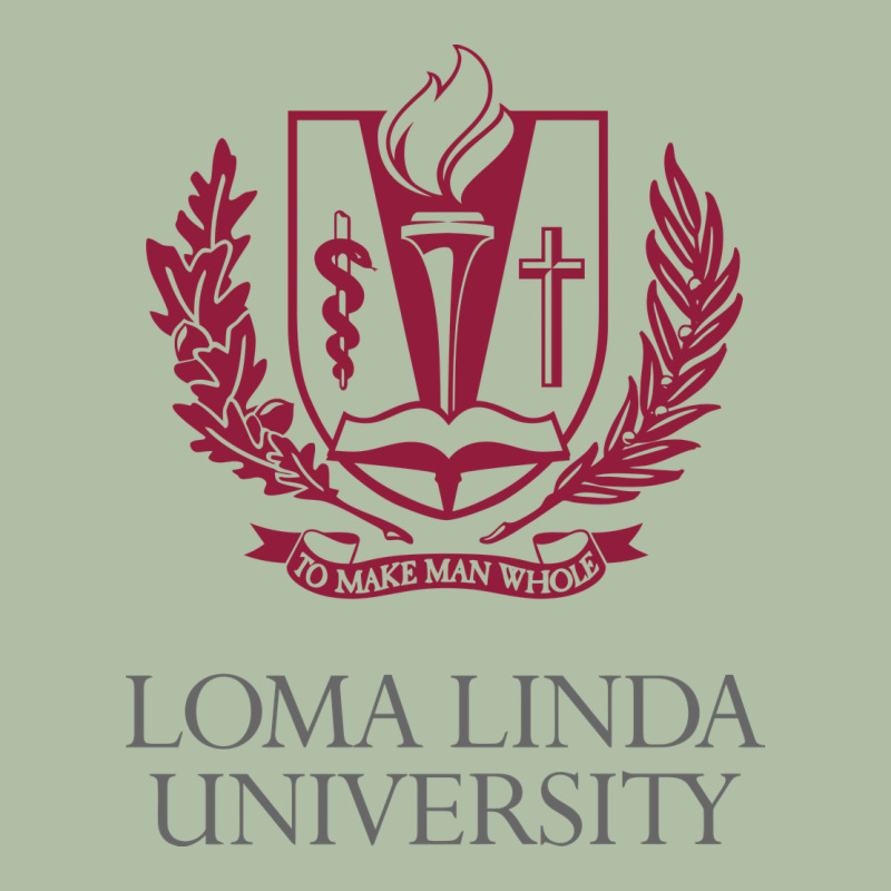 Education Of Loma Linda Urban Heavy Tee by linhVisuals | Teevron