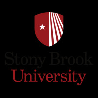 Stony Brook University Urban Heavy Tee | Teevron