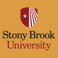 Stony Brook University Urban Heavy Tee | Teevron