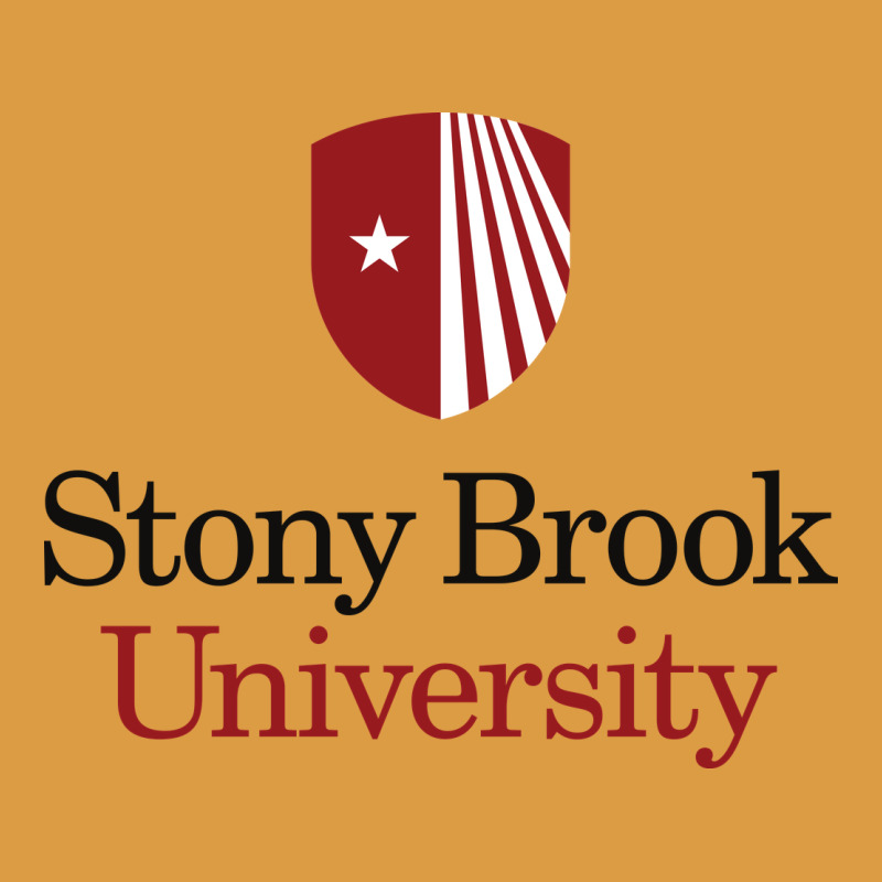 Stony Brook University Urban Heavy Tee by linhVisuals | Teevron