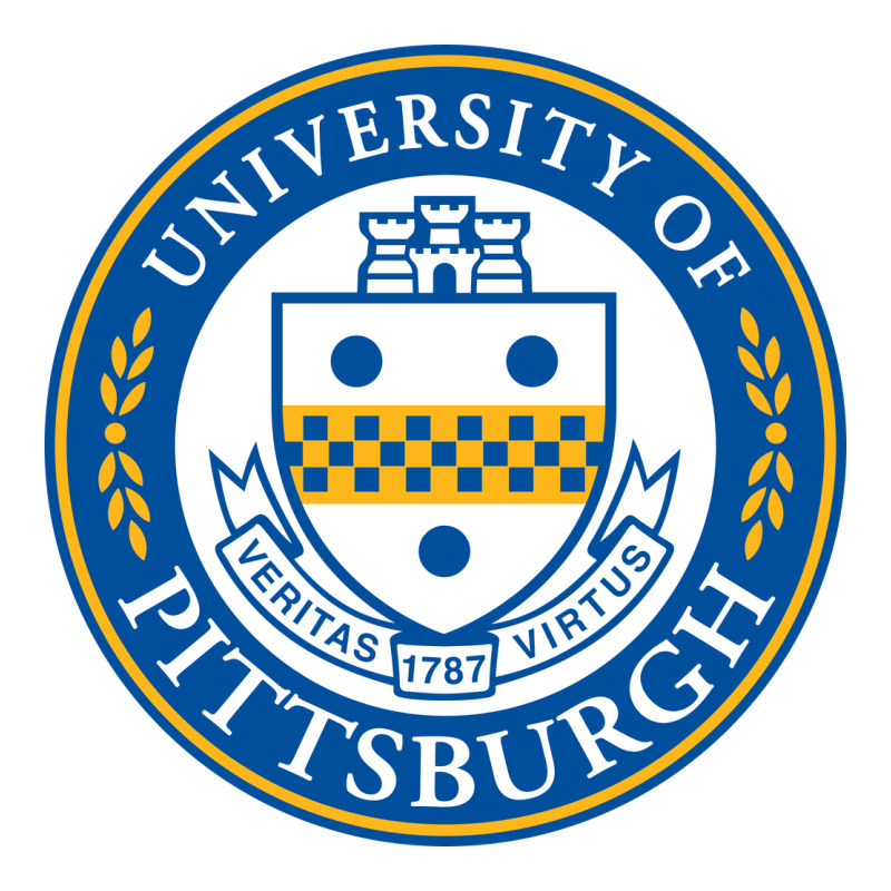 University Of Pittsburgh Urban Heavy Tee by linhVisuals | Teevron
