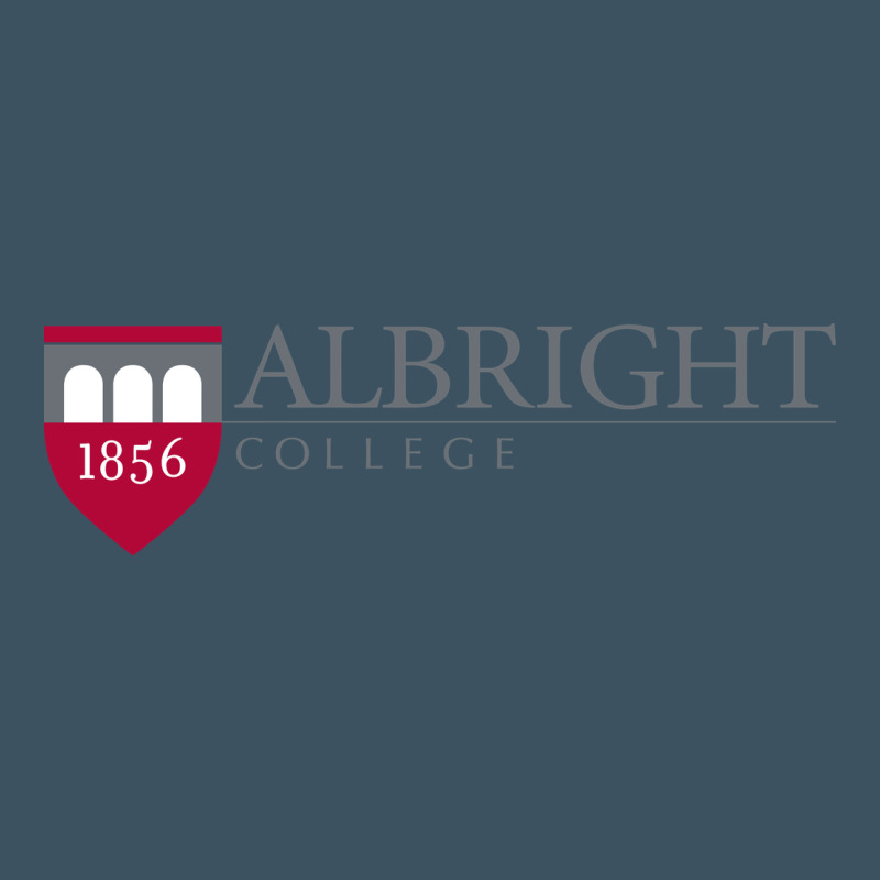 Albright College Vectorized Urban Heavy Tee by linhVisuals | Teevron