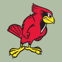 Illinois State Redbirds Urban Heavy Tee | Teevron