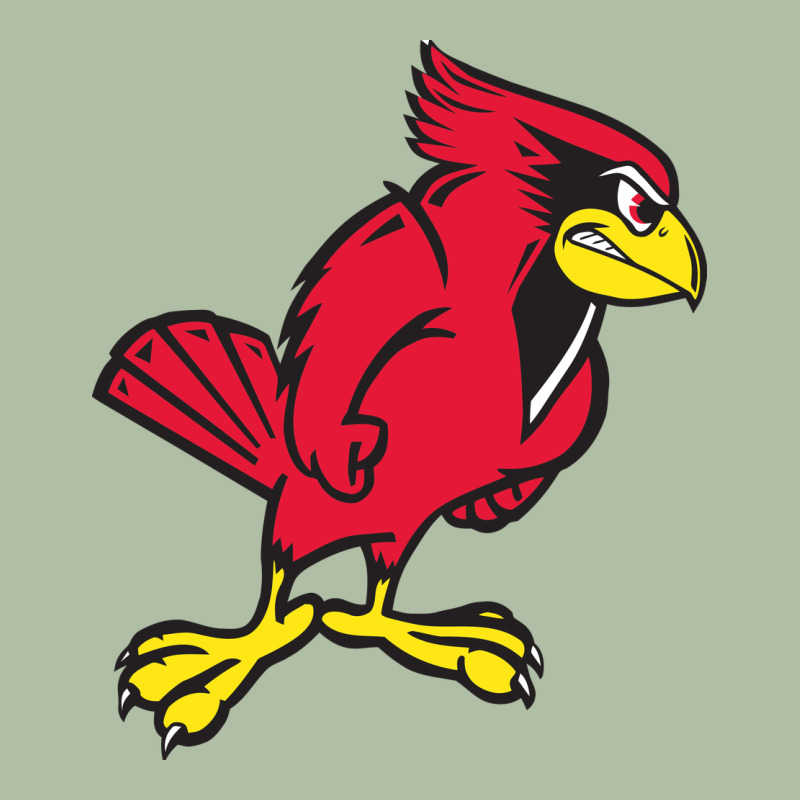Illinois State Redbirds Urban Heavy Tee by linhVisuals | Teevron