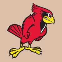 Illinois State Redbirds Urban Heavy Tee | Teevron
