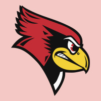 Illinois State Redbirds Urban Heavy Tee | Teevron