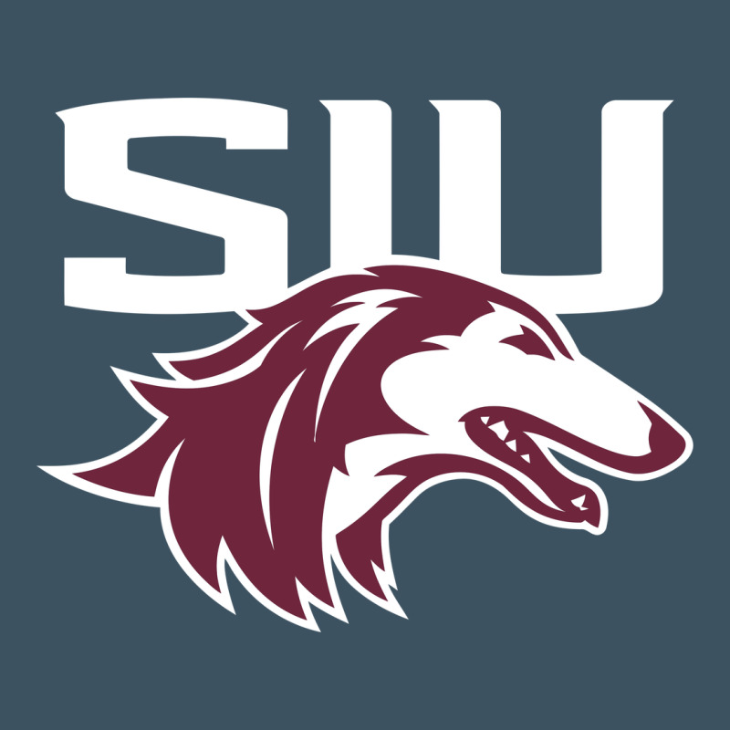 Southern Illinois Salukis Urban Heavy Tee by linhVisuals | Teevron