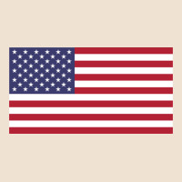American Flag Urban Heavy Tee | Teevron