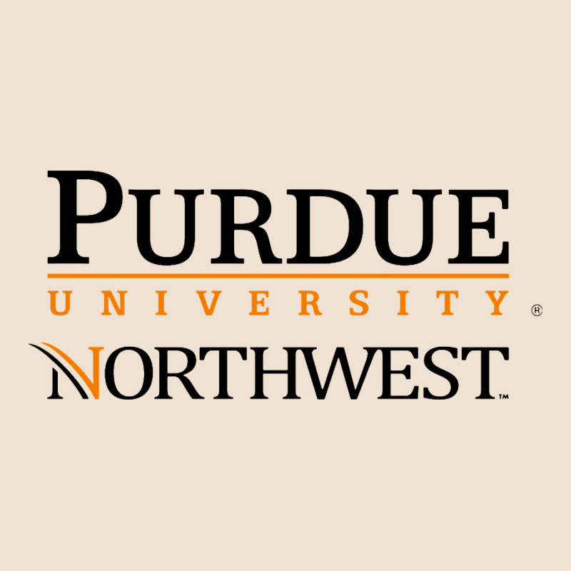 Purdue University Northwest Urban Heavy Tee by linhVisuals | Teevron