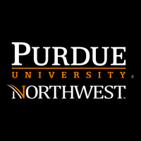 Purdue University Northwest Urban Heavy Tee | Teevron