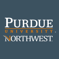 Purdue University Northwest Urban Heavy Tee | Teevron