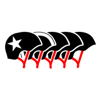 roller derby helmets | Teevron