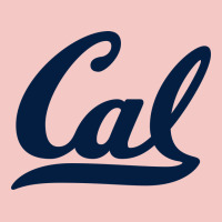 California Urban Heavy Tee | Teevron