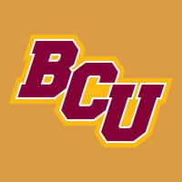 Bethune Cookman Urban Heavy Tee | Teevron