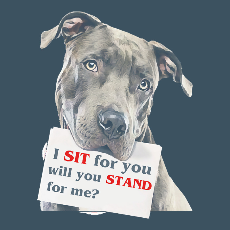 Pitbull T  Shirt I Sit For You Will You Stand For Me T  Shirt Urban Heavy Tee by linhVisuals | Teevron