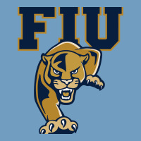 Fiu Panthers Urban Heavy Tee | Teevron