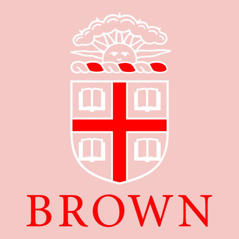 Brown University Urban Heavy Tee by linhVisuals | Teevron