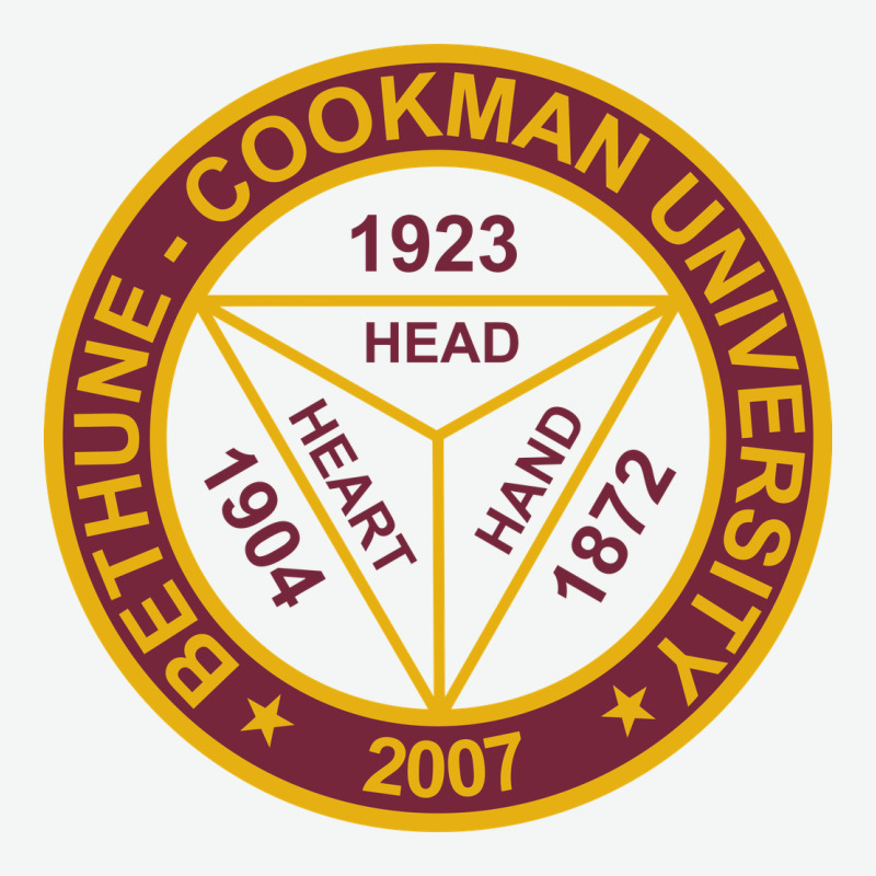 Bethune Cookman Urban Heavy Tee by linhVisuals | Teevron
