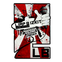 limp bizkit 23 | Teevron