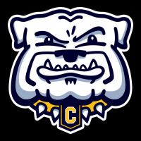 Chelse Bulldogs Urban Heavy Tee | Teevron